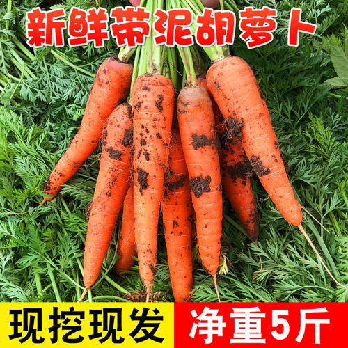 胡萝卜新鲜水果10斤红萝卜脆甜罗卜整箱蔬菜助农当季农家产品10